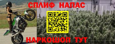 каннабис Кимры